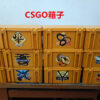 Csgo weapon case