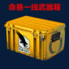 Csgo weapon case