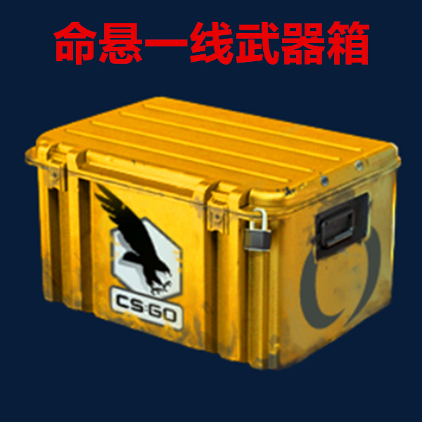 Csgo weapon case