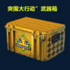 Csgo weapon case