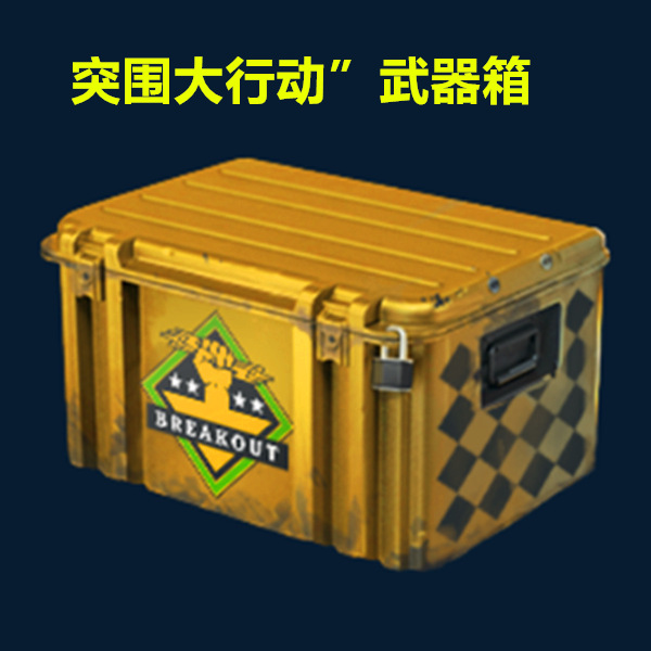 Csgo weapon case