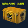 Csgo weapon case