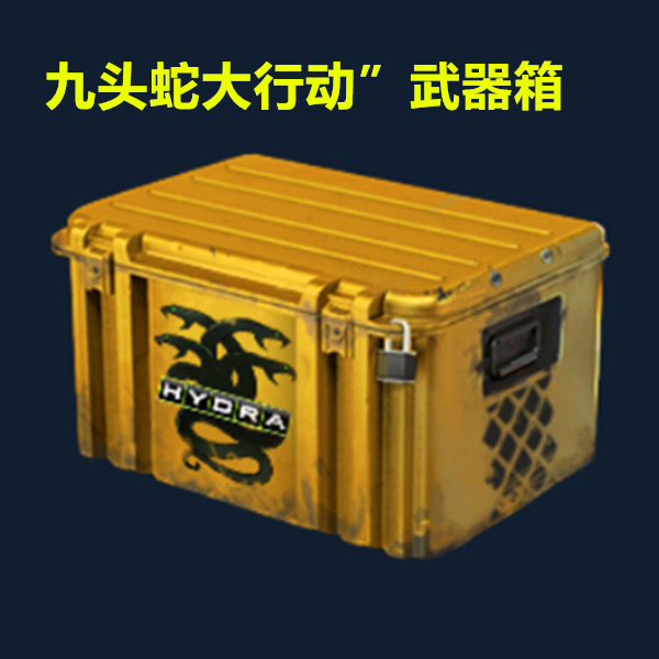 Csgo weapon case