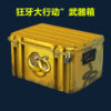 Csgo weapon case