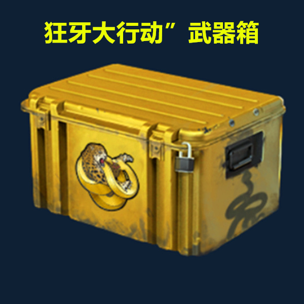 Csgo weapon case