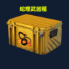 Csgo weapon case