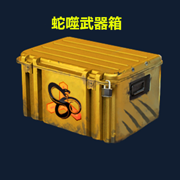 Csgo weapon case