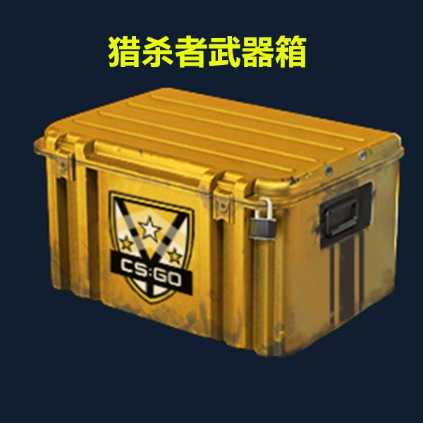 Csgo weapon case