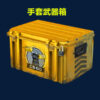 Csgo weapon case