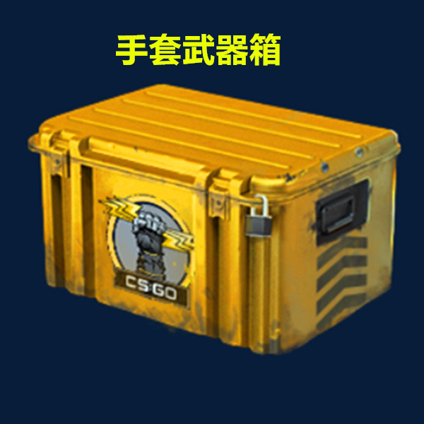 Csgo weapon case