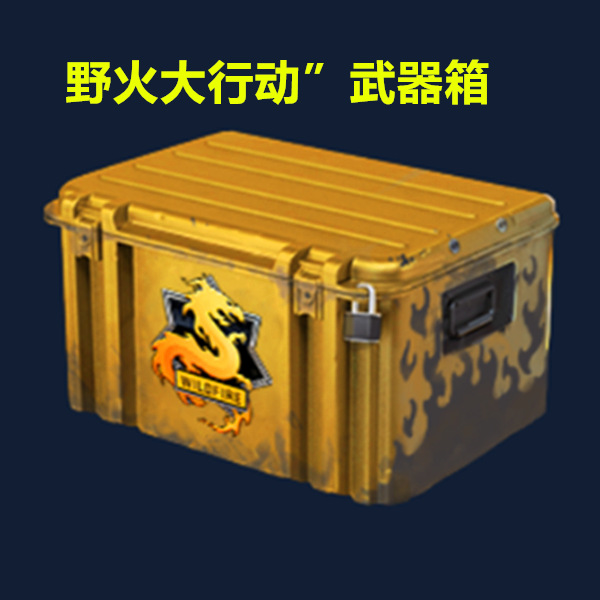 Csgo weapon case