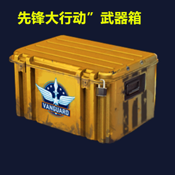 Csgo weapon case