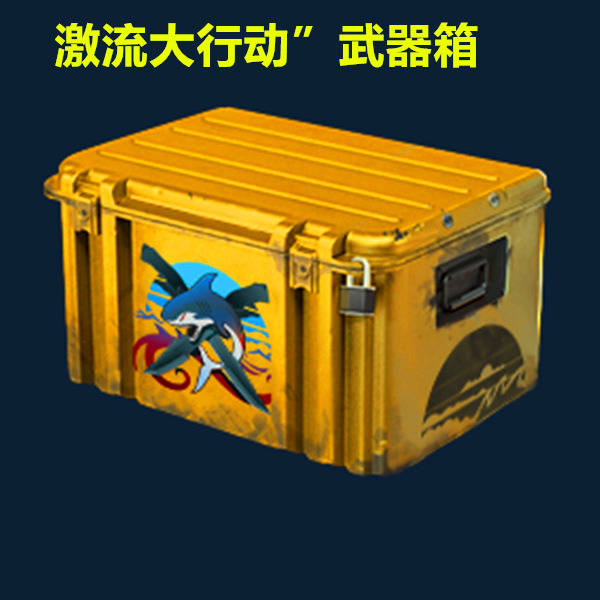 Csgo weapon case